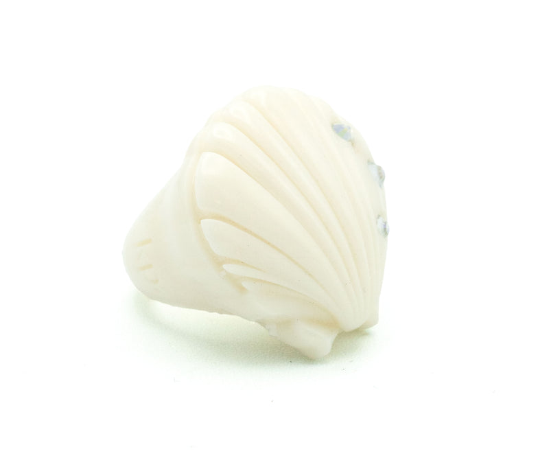 Concha Blanca